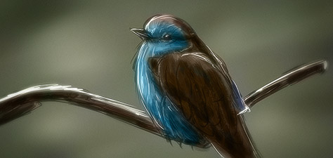 Art - Little Bird