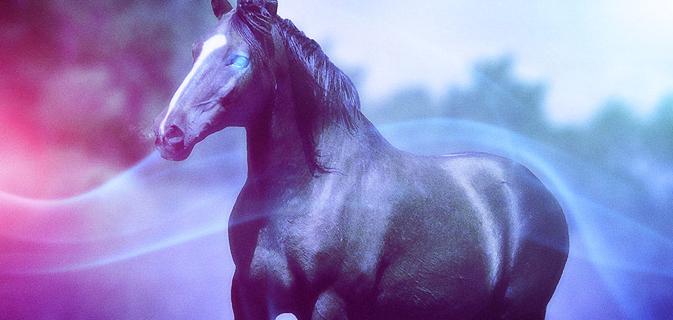 Mighty Horse - Digital Art by Matthias Zegveld