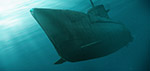 The Submarine - Art Poster Product by Matthias Zegveld